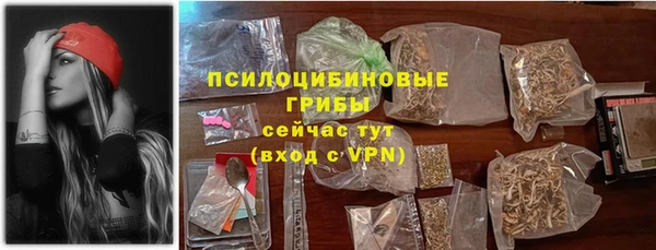гидра Алексин